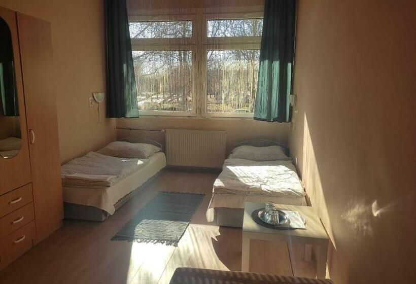 غرفة قياسية ثلاثية, Napsugár Szálló Baja