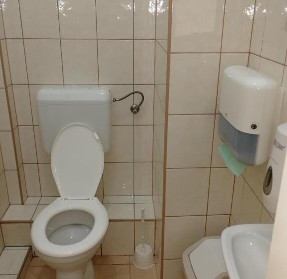 غرفة إقتصادية ثلاثية, Napsugár Szálló Baja