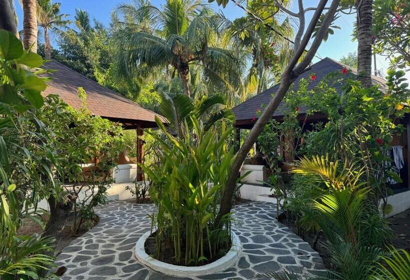 بنجلو قياسى, Scallywags Beach Club