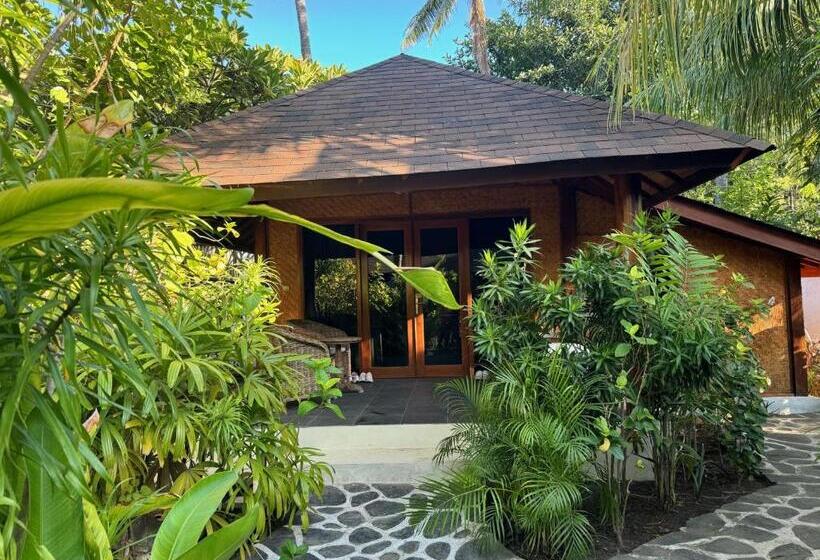 بنجلو عائلى, Scallywags Beach Club