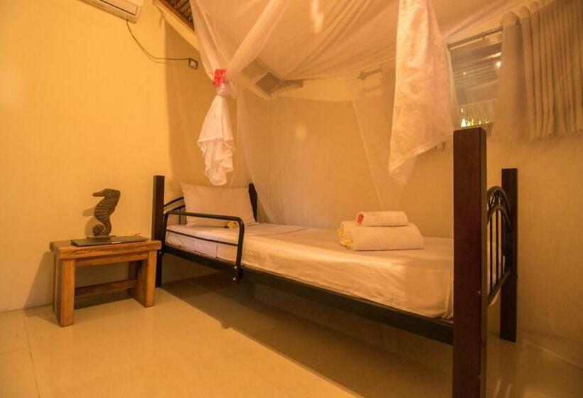 بنجلو عائلى, Scallywags Beach Club