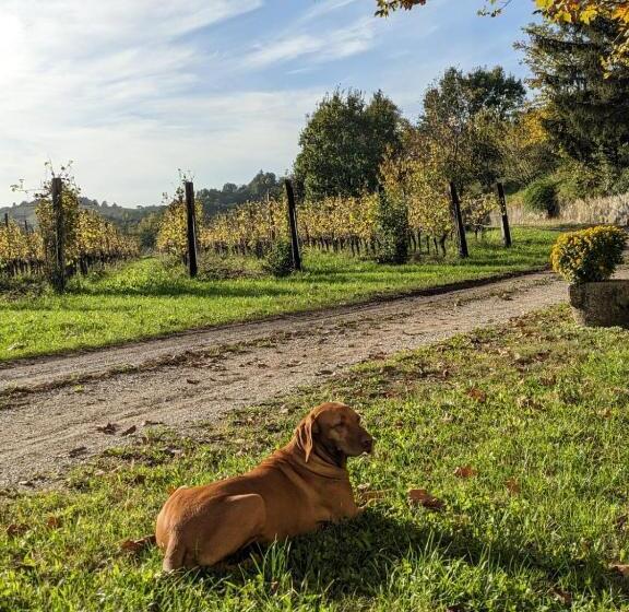 اتاق لوکس, Castel San Mauro