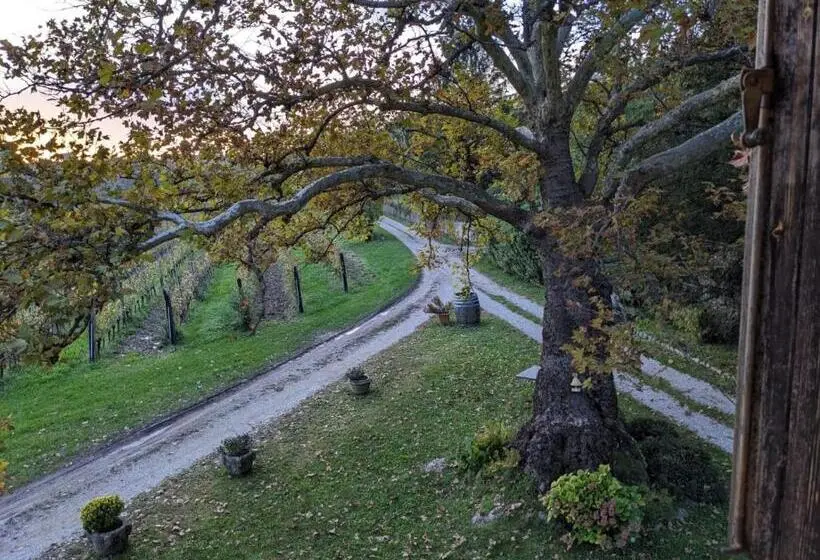 اتاق استاندارد سه تخته با سرویس بهداشتی مشترک, Castel San Mauro