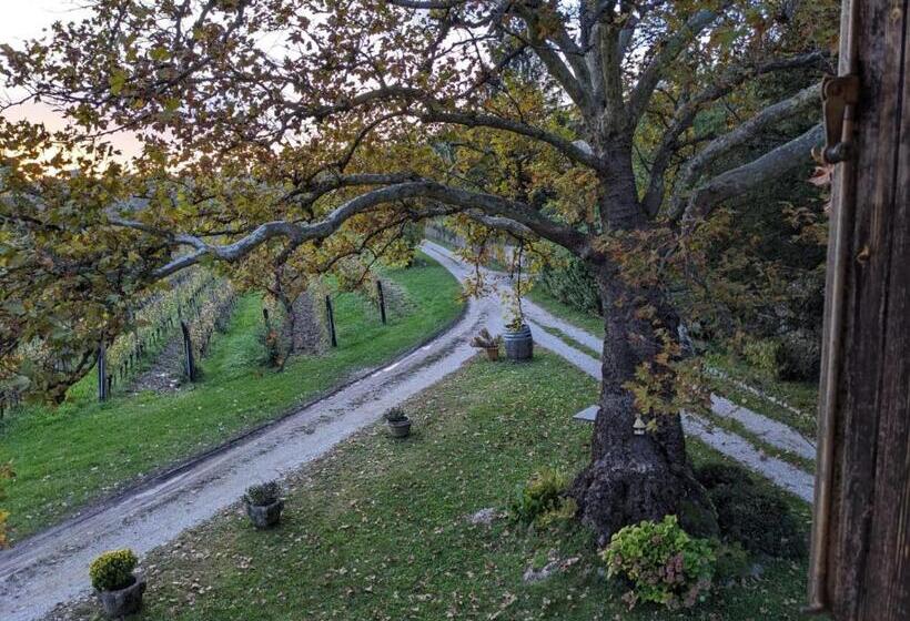 ویلای 1 خوابه با چشمانداز باغ, Castel San Mauro