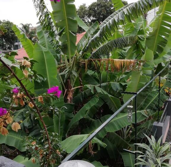 Pokój Deluxe, Fx Pena