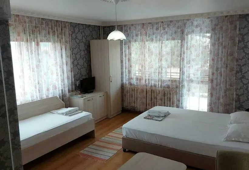 Standard-huone, Family Hotel Emaly 1