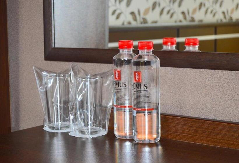스탠다드 룸, Hemus Hotel   Vratza