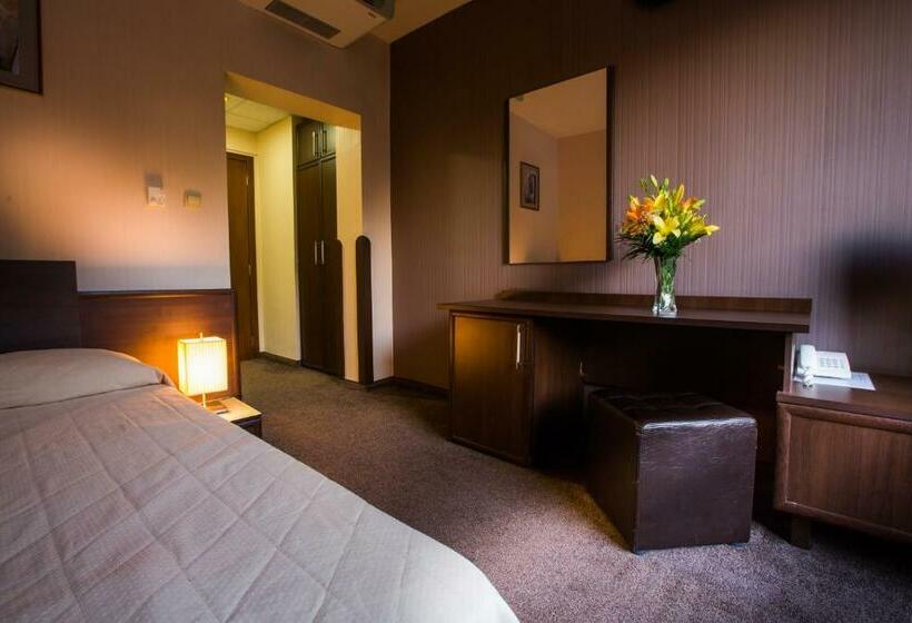 غرفة قياسية فردية, Hemus Hotel   Vratza