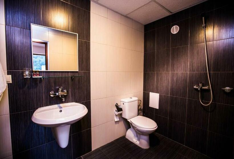 غرفة قياسية, Hemus Hotel   Vratza