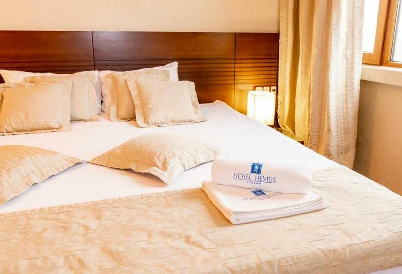 غرفة قياسية, Hemus Hotel   Vratza