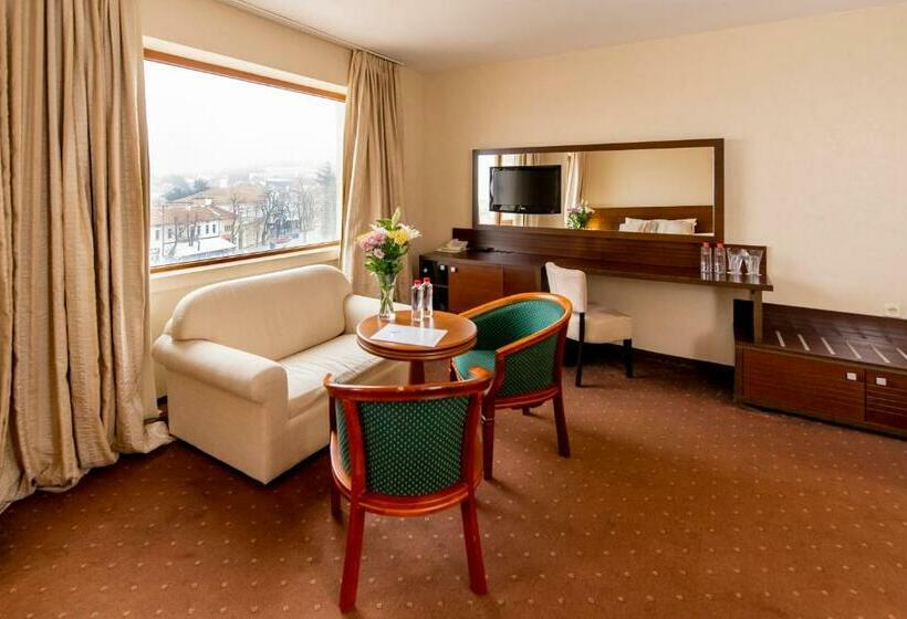 غرفة قياسية, Hemus Hotel   Vratza