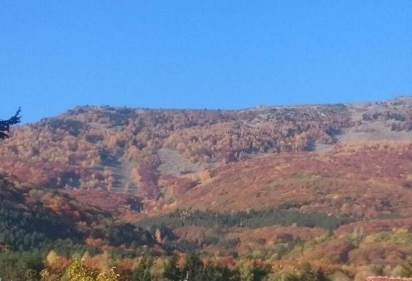 带1个卧室的公寓, Classic