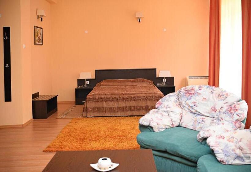 テラス付き1ベッドルームアパートメント, Family Art Hotel Zora