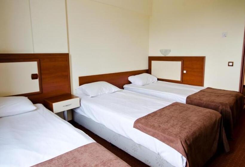 Quarto Triplo Estandar, Nadejda