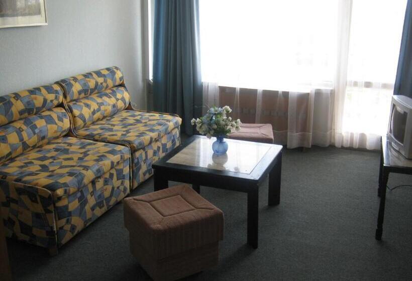 バルコニー付き1ベッドルームアパートメント, Neptune