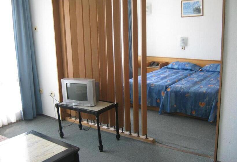 バルコニー付き1ベッドルームアパートメント, Neptune