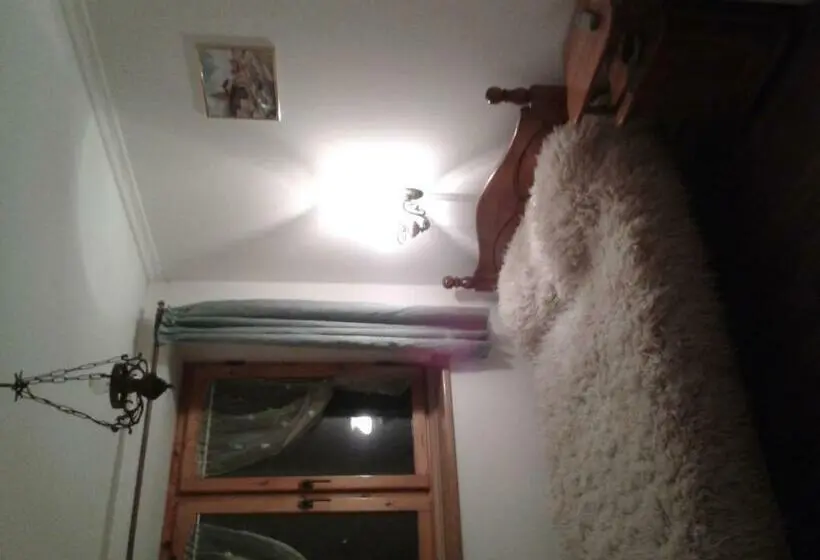 Camera Standard, Rai