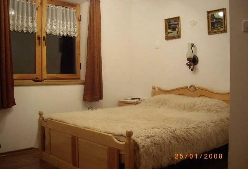 Camera Standard, Rai