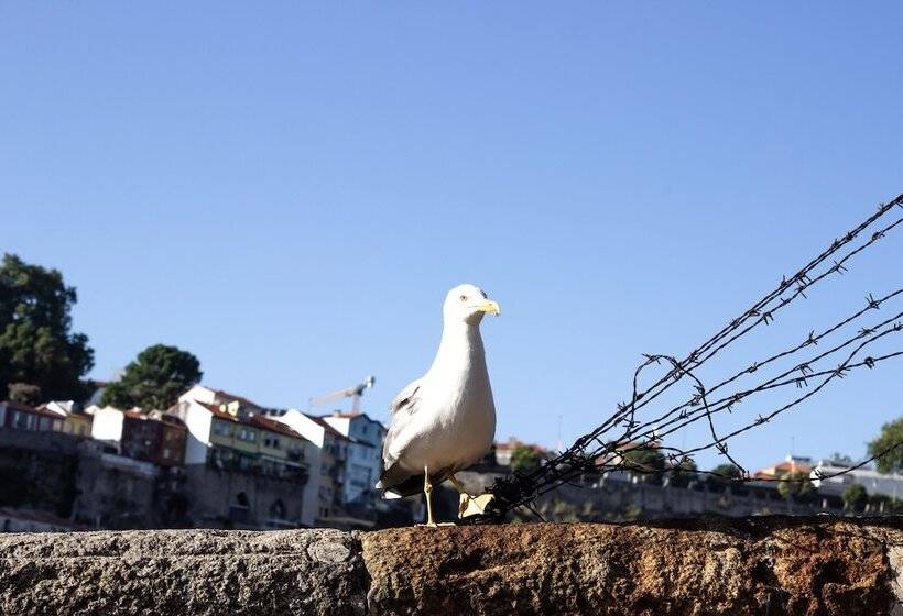 Quarto Familiar, Rock N Porto Hostel