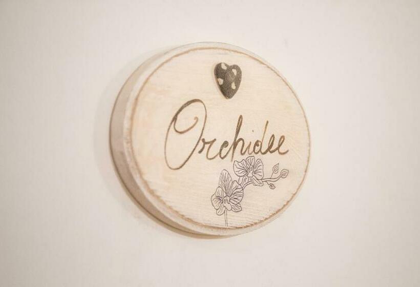 スタンダードルーム, B&b Patrizio