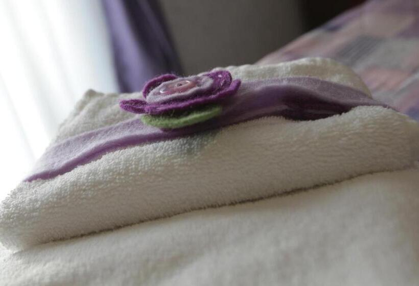 חדר סופריור לארבעה, Number60