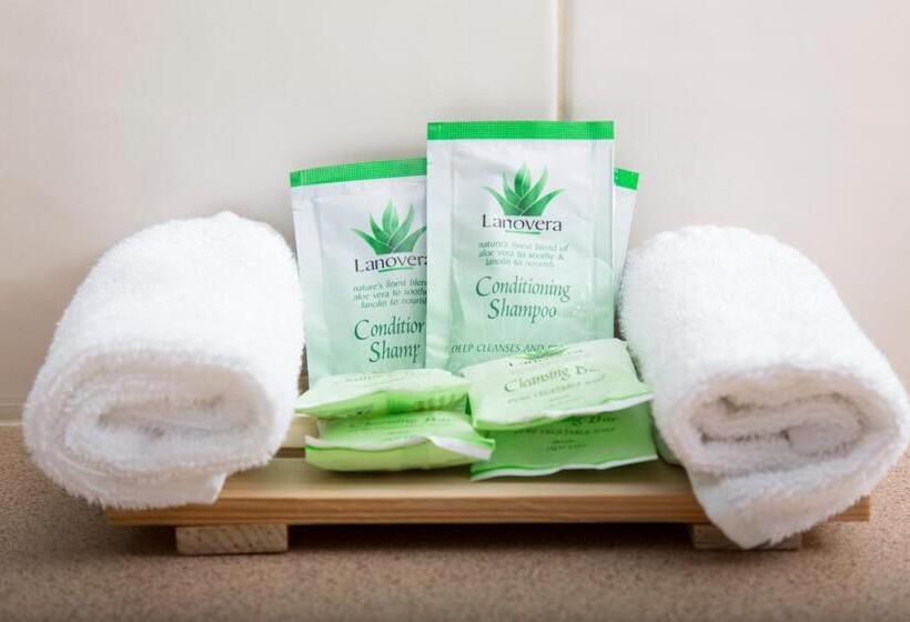 اتاق خانوادگی, Crystal Fountain Motel Albury