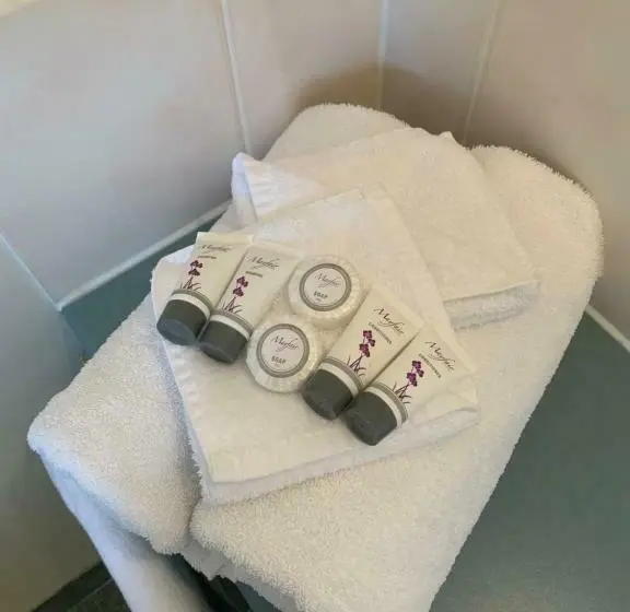 バスタブ付きスタンダードルーム, Arthur Phillip Motor Inn