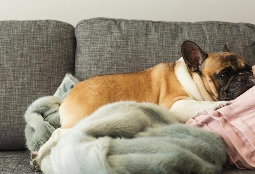 침실 2개 빌라, Seahorse Inn Hotel & Villas