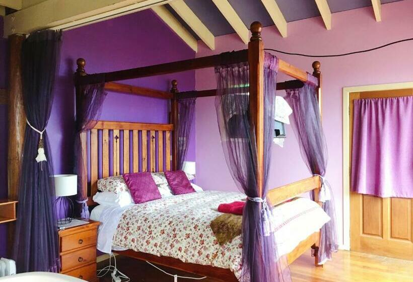 디럭스 테라스 룸 바다 전망, The Goat And Goose Bed & Breakfast