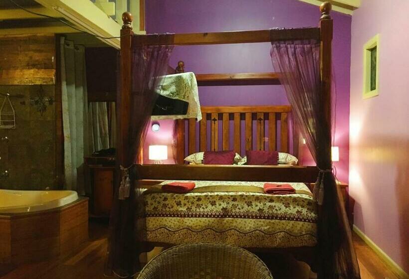 디럭스 테라스 룸 바다 전망, The Goat And Goose Bed & Breakfast