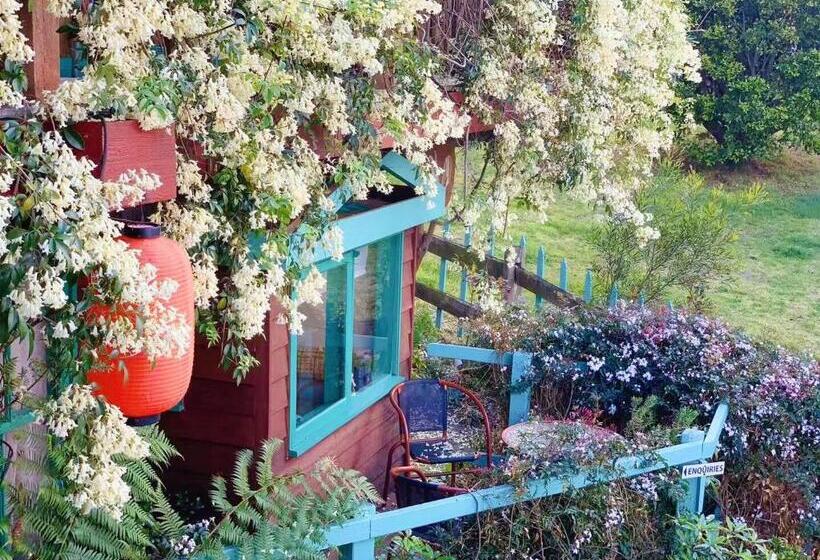 스탠다드 자쿠지 룸, The Goat And Goose Bed & Breakfast