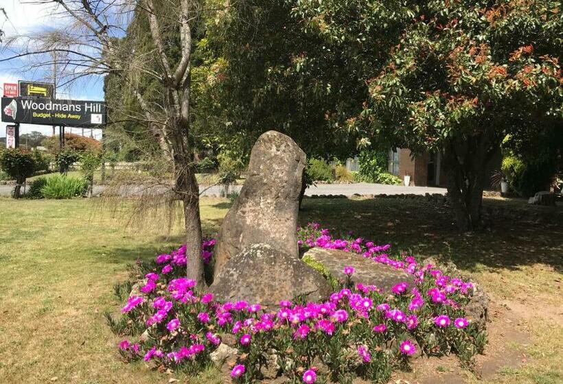 디럭스 룸, Woodmans Hill Motel