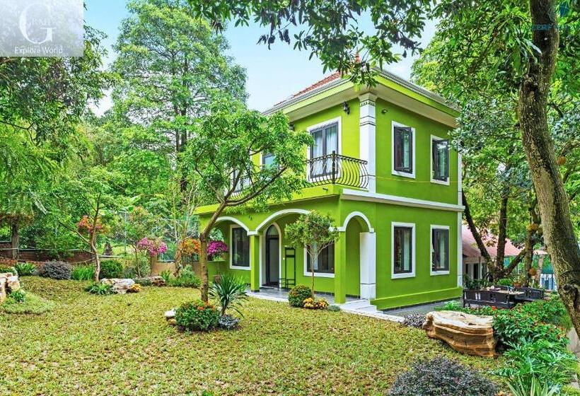 بانگلوی لوکس, Cerf Volant Soc Son Resort