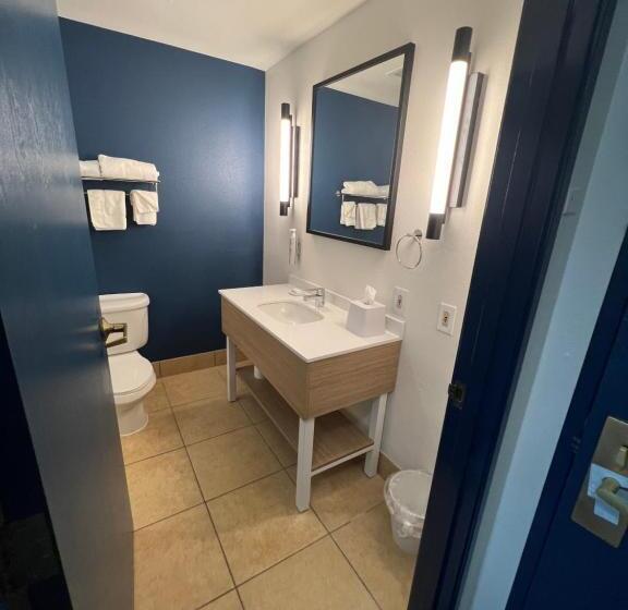 スタンダードルーム, Welcome Inn & Suites East Chase/pike Road