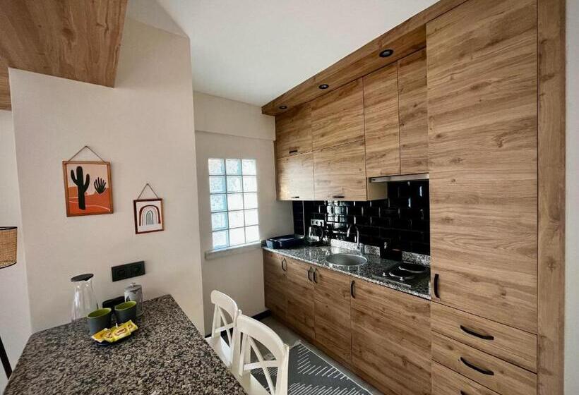 דירה בת חדר שינה 1 עם מרפסת, Sencer Apart