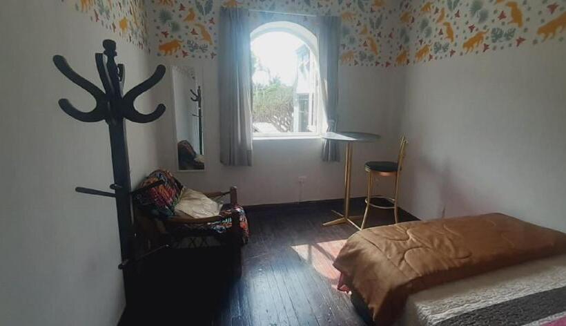 Номер Стандарт Вид на Сад, Quinoa Backpackers Hostel