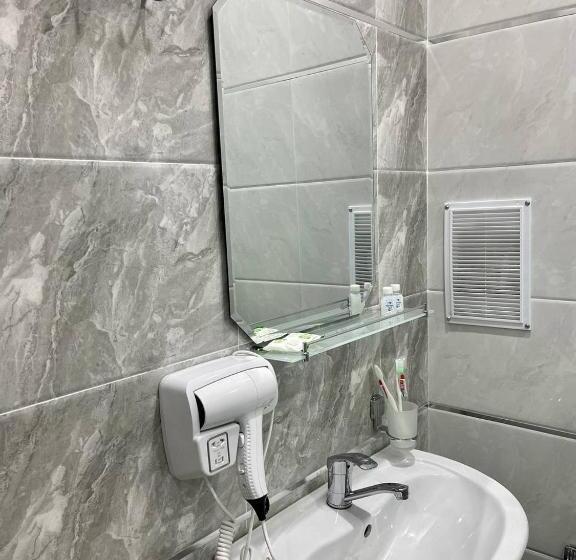 Habitació Estàndard, Amor Fati Tashkent