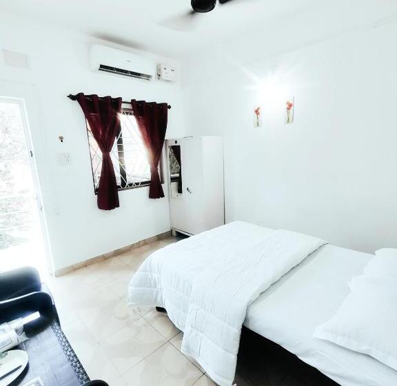 スタンダードルーム, Euphoria Stays In Anjuna