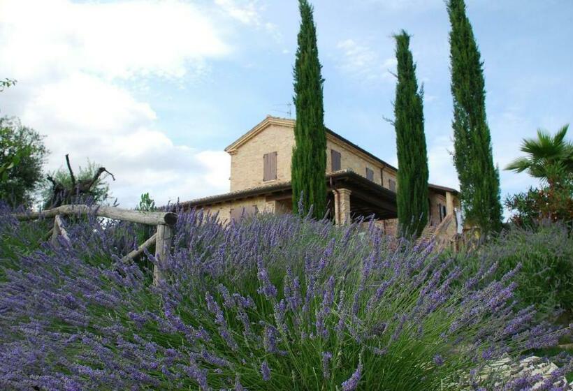 Апартаменты 2 Спальни, Agriturismo Tenuta Sol Alto