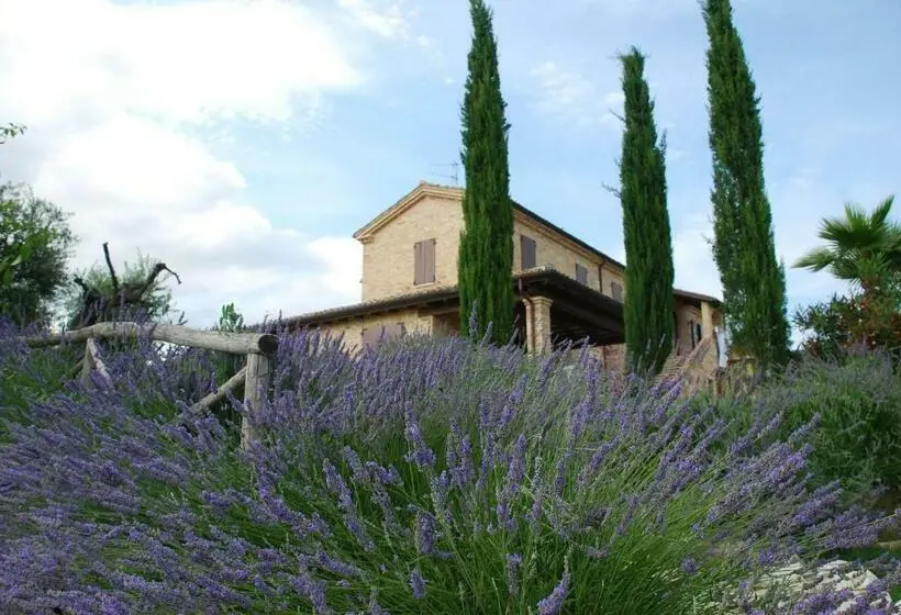 ２ベッドルームアパートメント, Agriturismo Tenuta Sol Alto