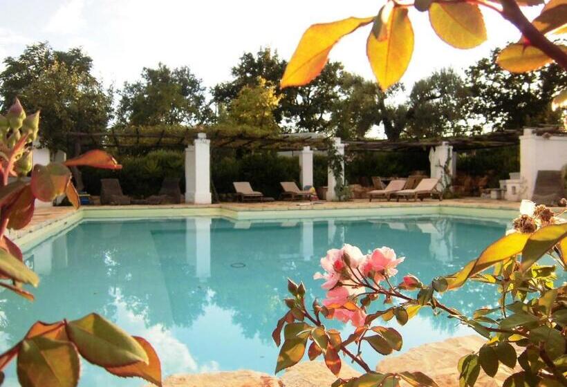 １ベッドルームのデラックスアパートメント, Casa Vacanze Riposo Del Vento