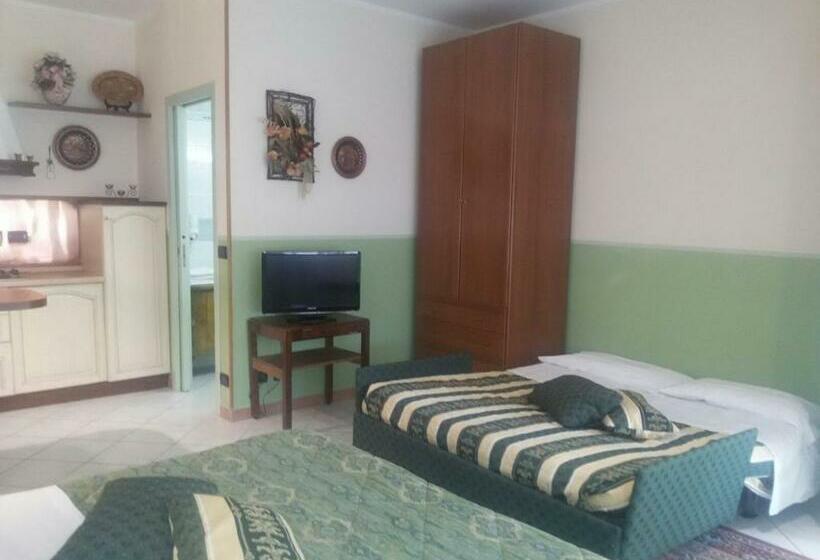 Студия Стандарт, Bruna