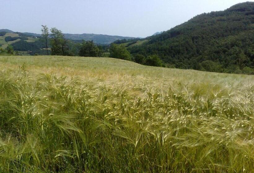 침실 2개 아파트, Bruna