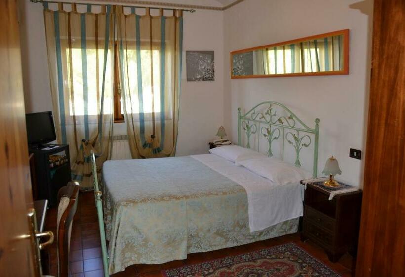 スタンダードルーム, Canusium