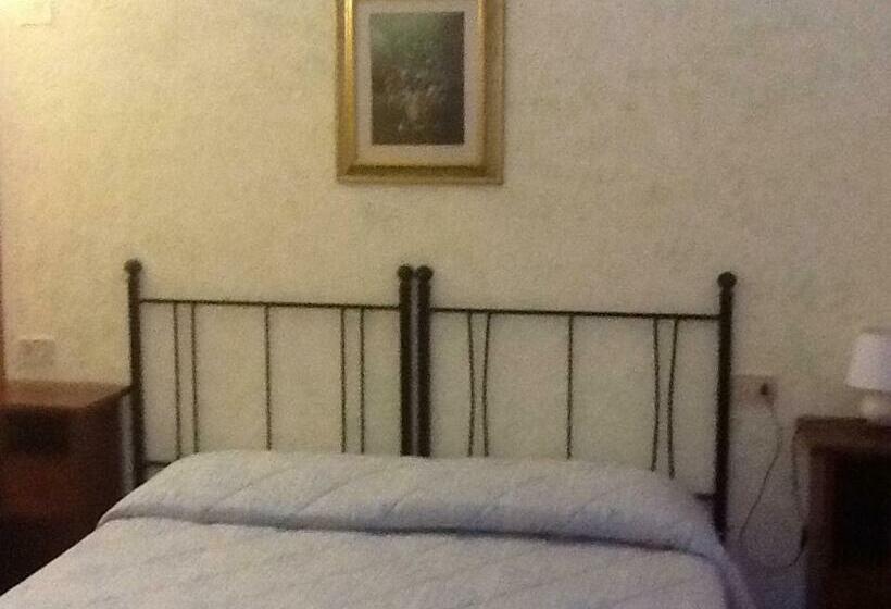 스탠다드 룸, Eden