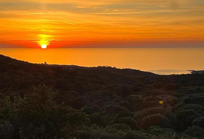 استودیوی لوکس, Isola Rossa Appartamenti Paduledda