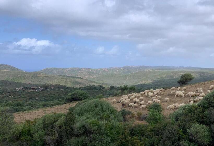 آپارتمان 3 خوابه, Isola Rossa Appartamenti Paduledda