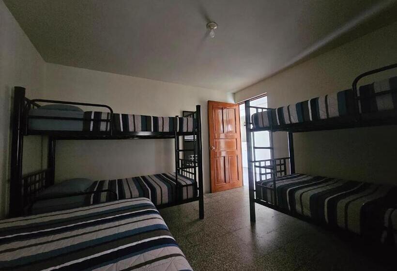 تختخواب در اتاق مشترک, Blue Moon Hostel