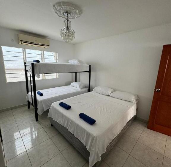 バスルーム共有のシングルスタンダード, Calipso Dive And Pet Center