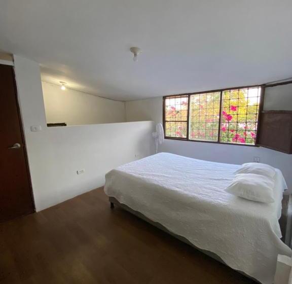 חדר סטנדרט, Vegan